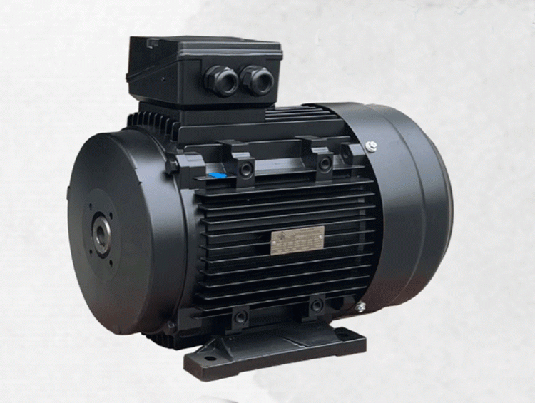 Inner shaft motor