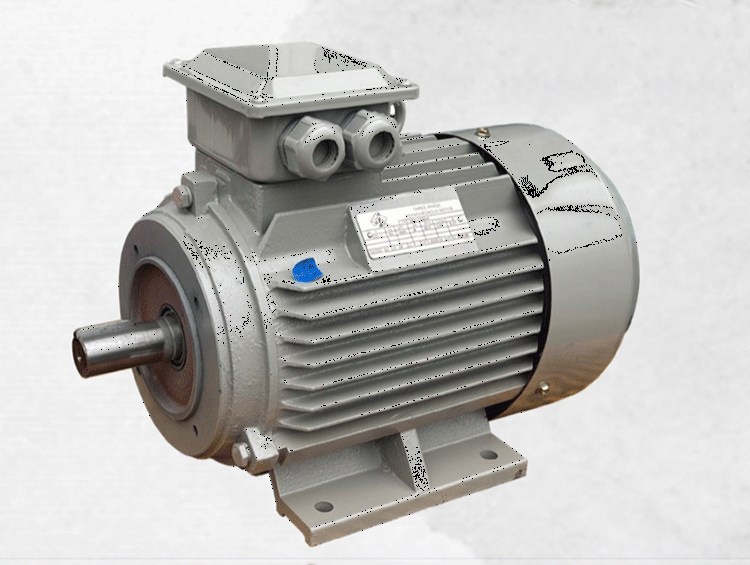 External shaft motor